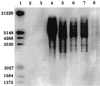 FIG. 6