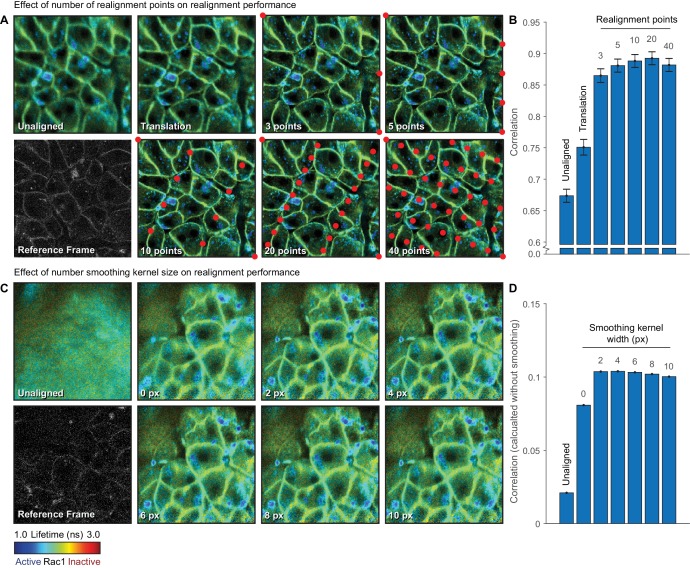 Figure 3—figure supplement 1.