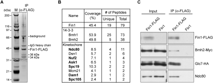 Figure 3.