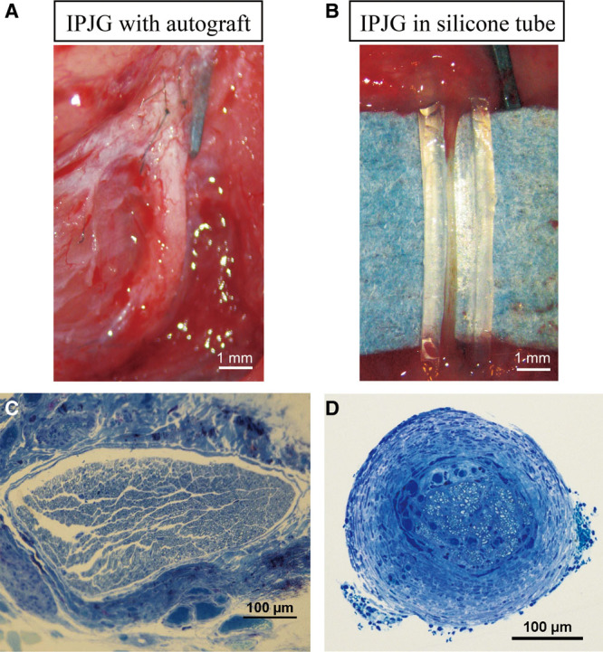 Fig. 3.