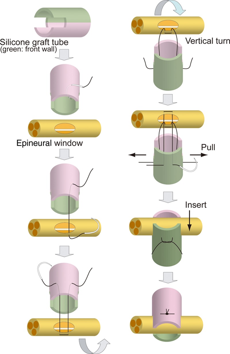 Fig. 2.