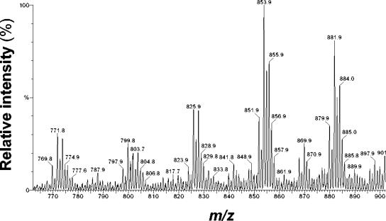 FIG. 2.