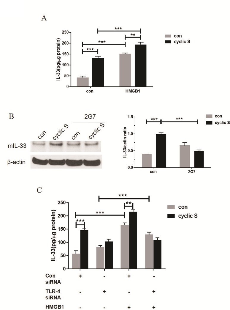 Fig 8