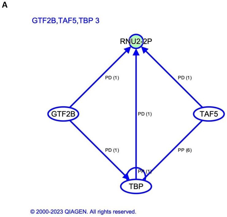 Figure 5