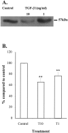 Figure 9.