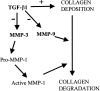 Figure 11.