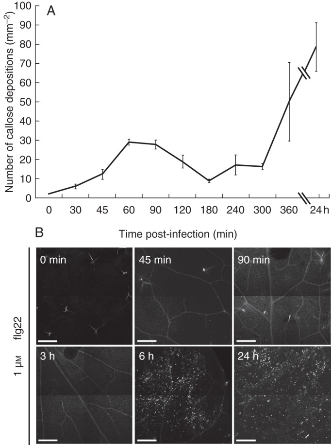 Fig. 1.