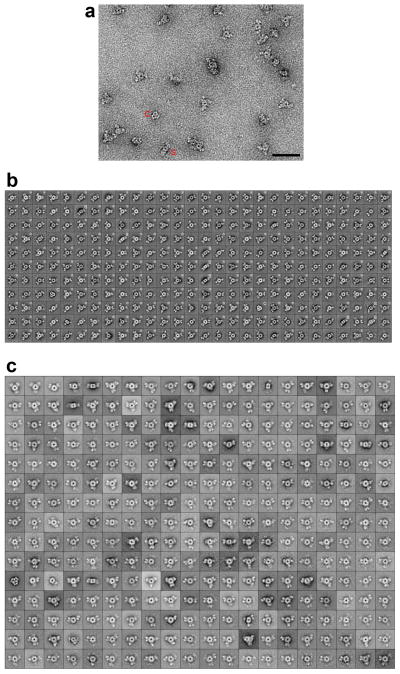 Extended Data Fig. 5