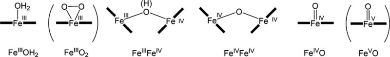 Chart 2