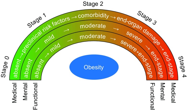 Fig. 1