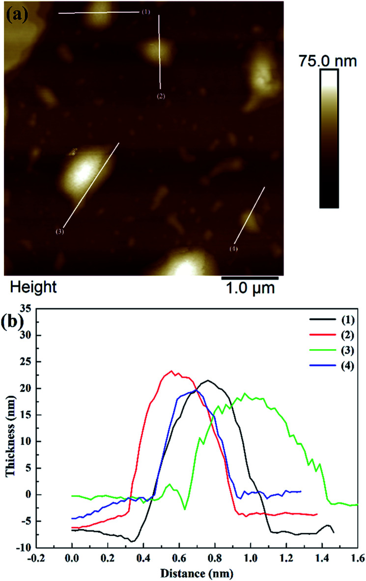 Fig. 4