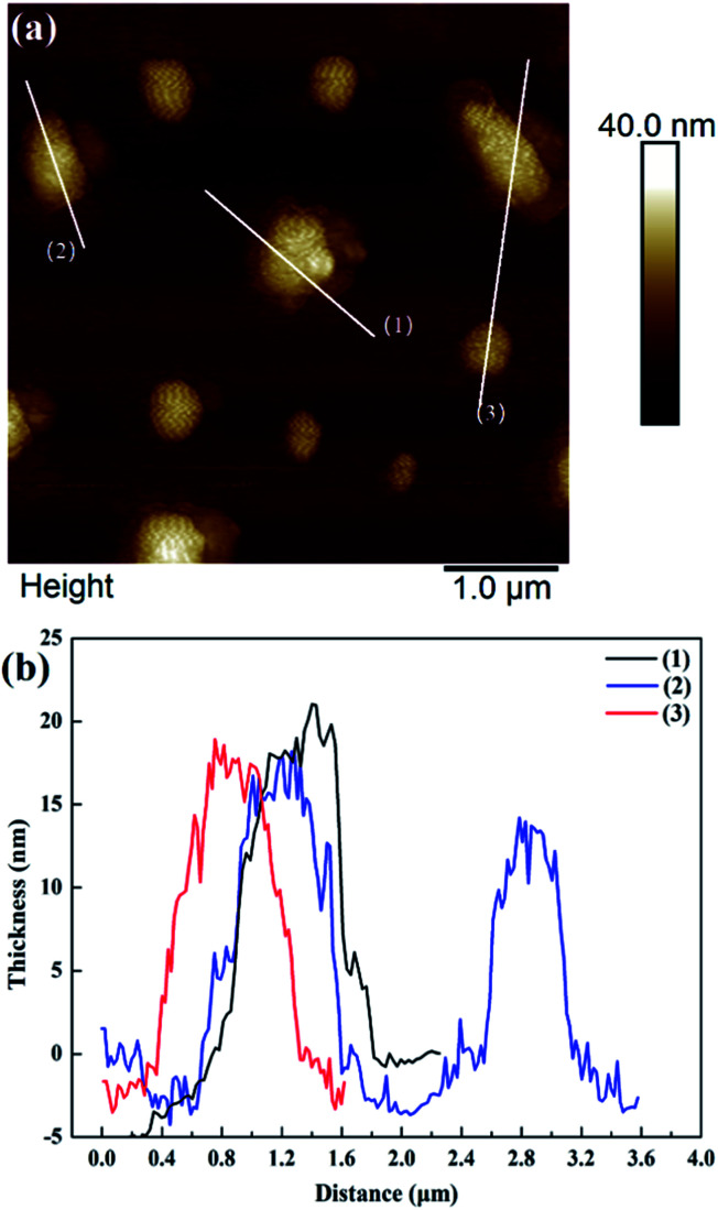 Fig. 3