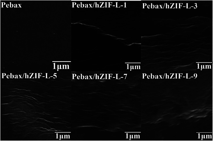 Fig. 9