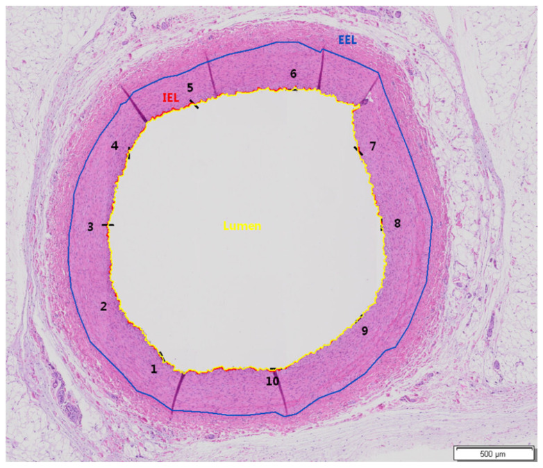 Figure 2