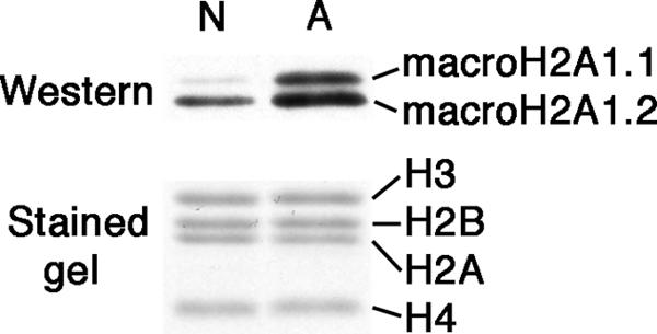 FIG. 5.