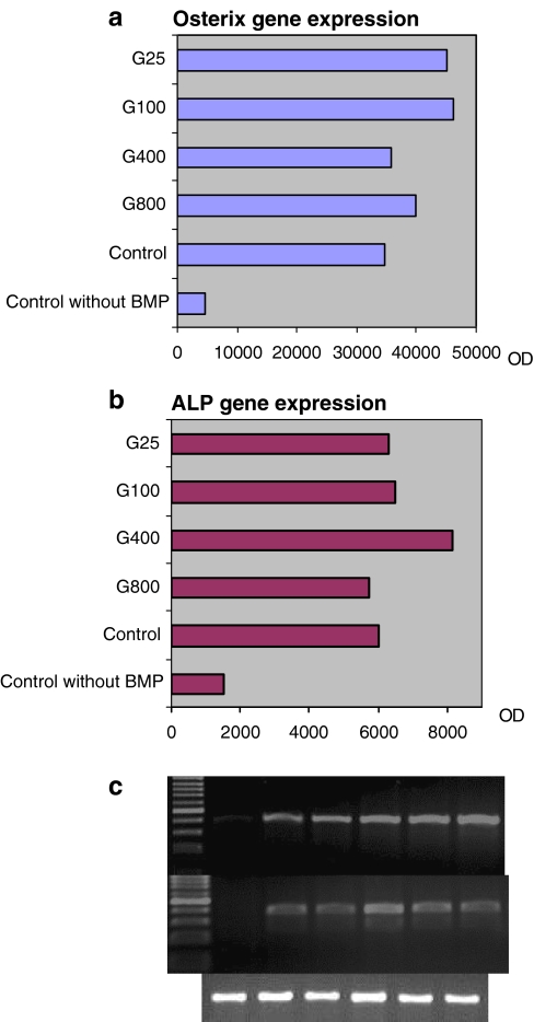 Fig. 4