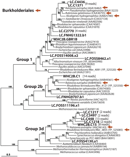 Figure 5