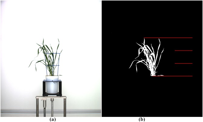 Fig 5