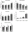 Figure 6 -