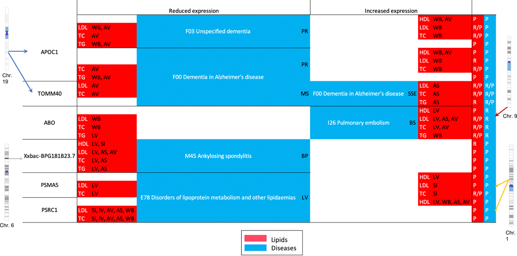 Figure 6 |