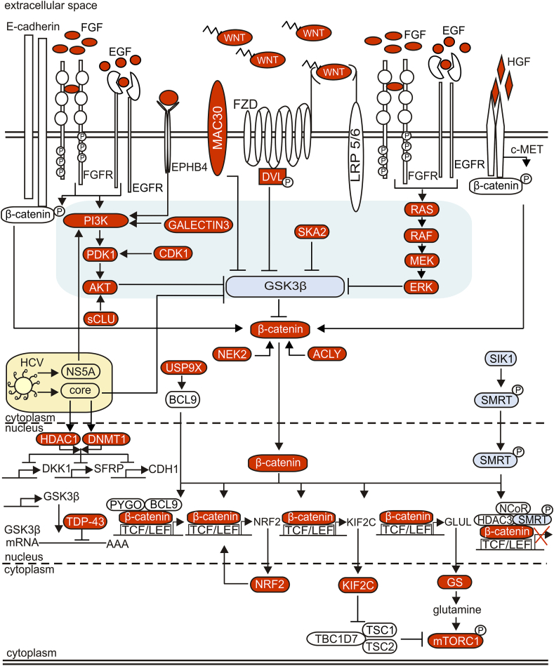 Fig. 4