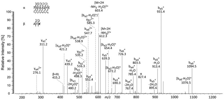 Fig. 5