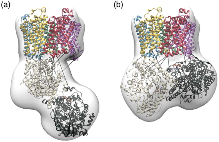 Fig. 6