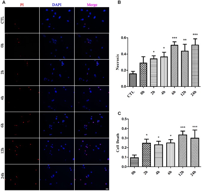 FIGURE 1