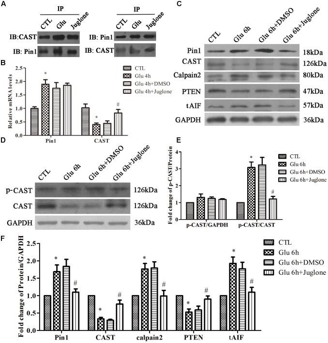 FIGURE 3