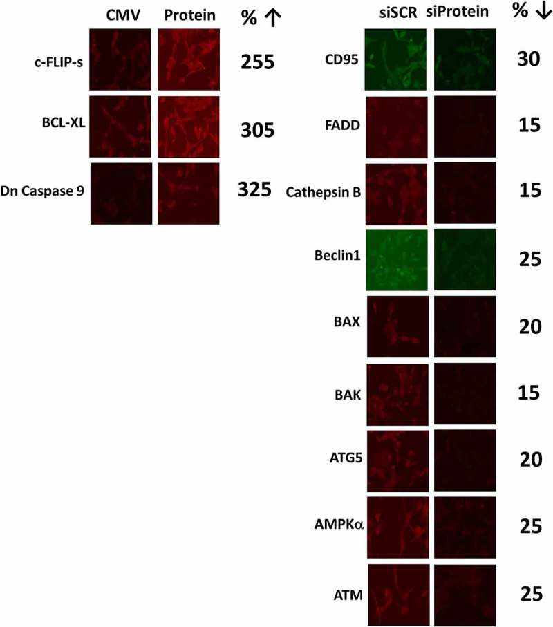 Figure 13.