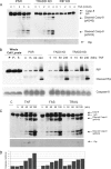 FIG. 4.