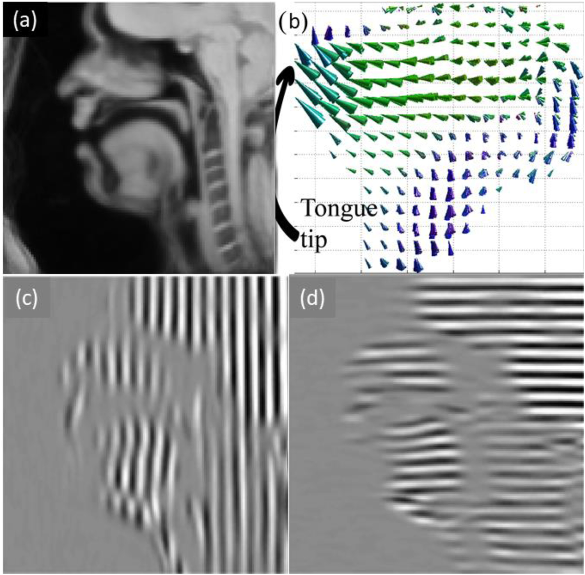 Figure 1.