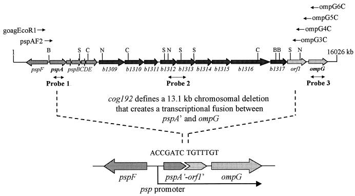 FIG. 6