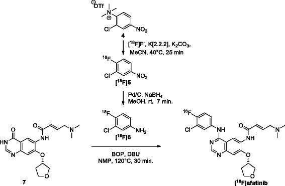 Scheme 2