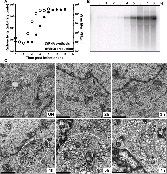 Fig 3