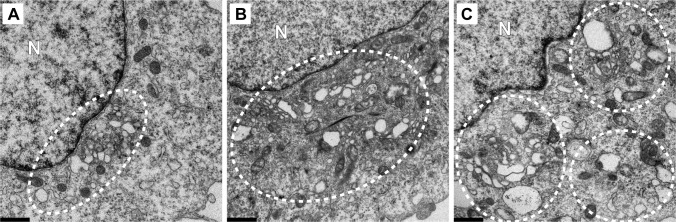 Fig 10