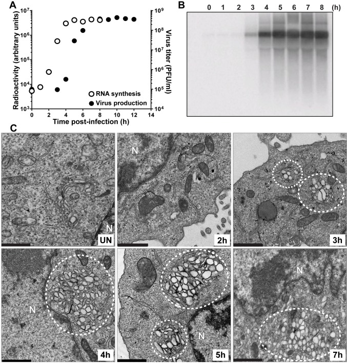 Fig 4