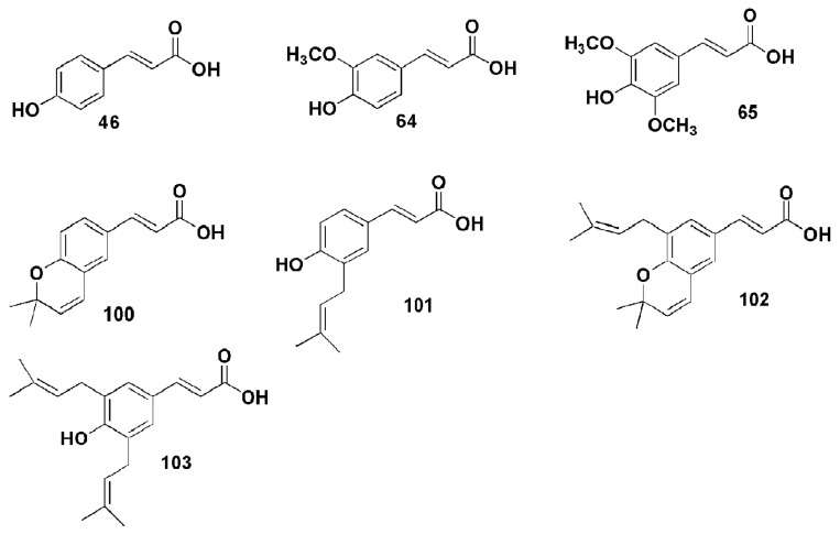 Figure 28