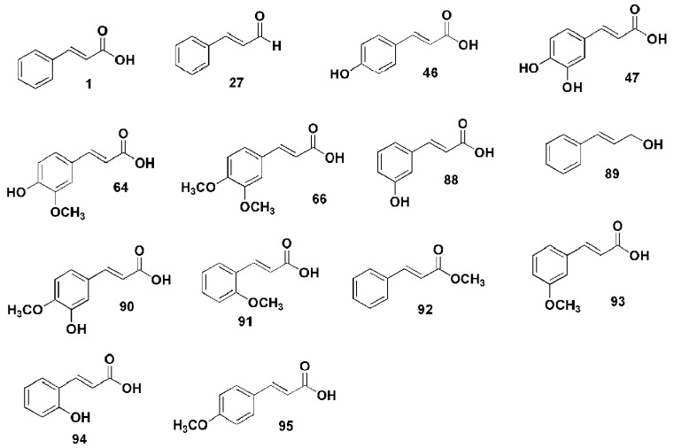 Figure 24