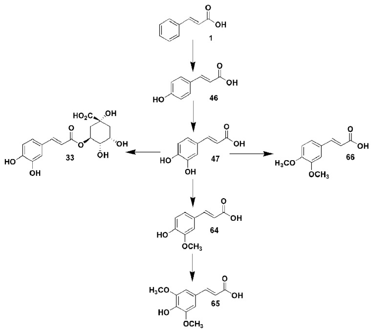 Figure 18