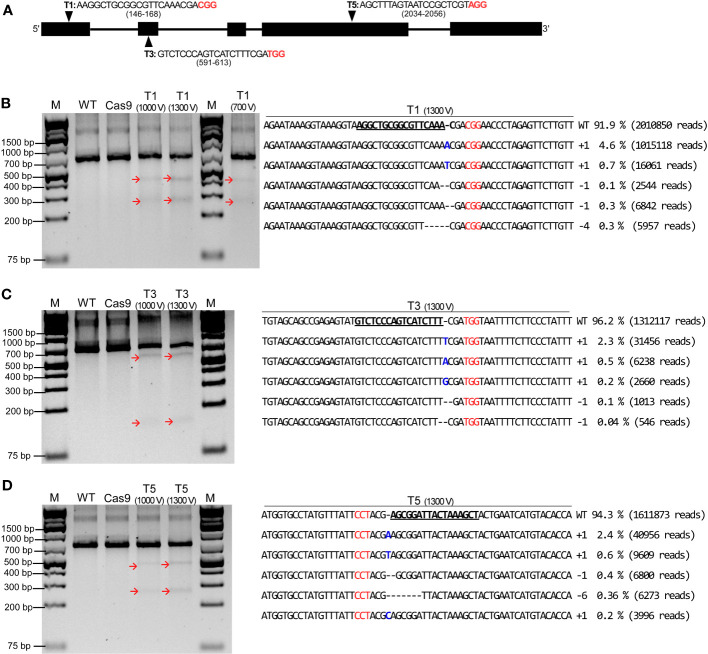 Figure 4