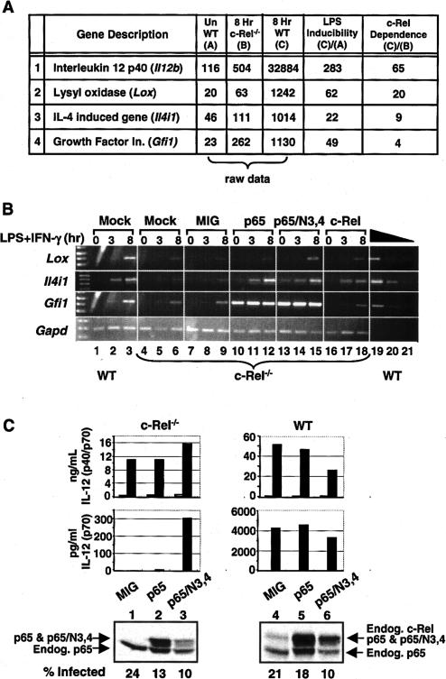 Figure 4.