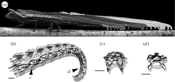 Figure 1.