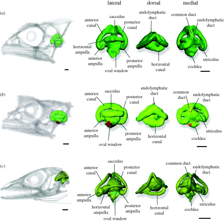 Figure 2.