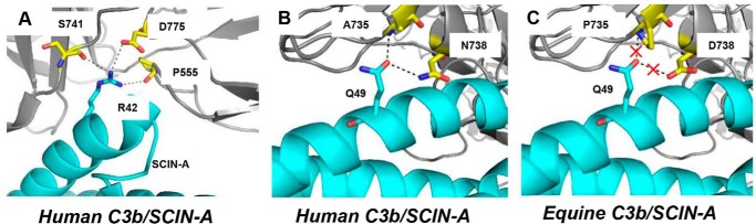 Figure 6.