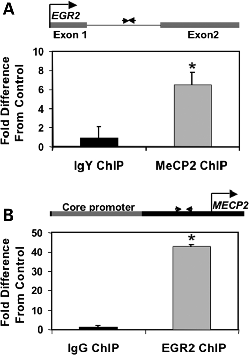 Figure 1.