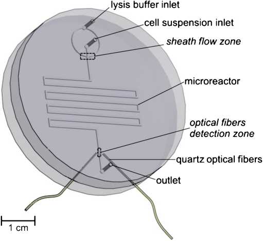 Fig. 1