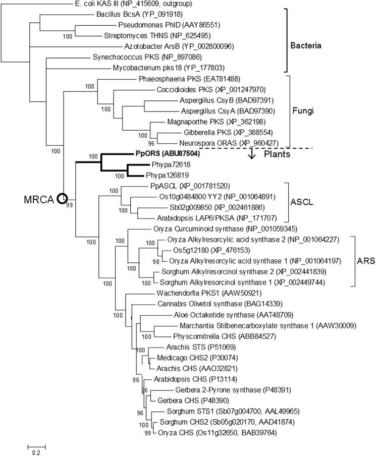 FIGURE 7.