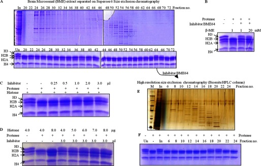 FIGURE 13.