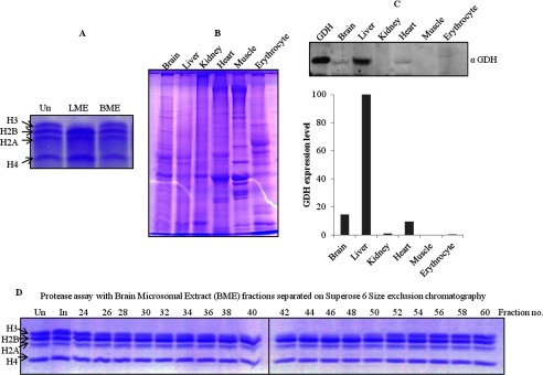 FIGURE 12.